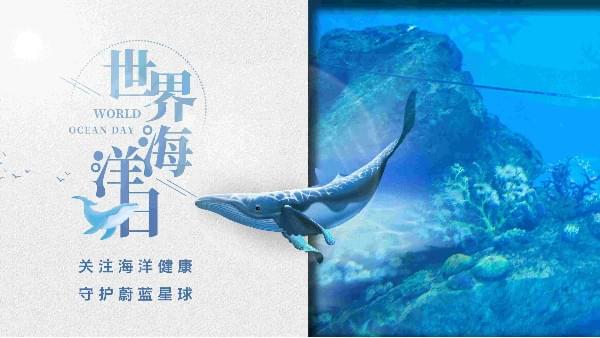 世界海洋日|茄子视频在线免费观看為你勾勒心中那片海